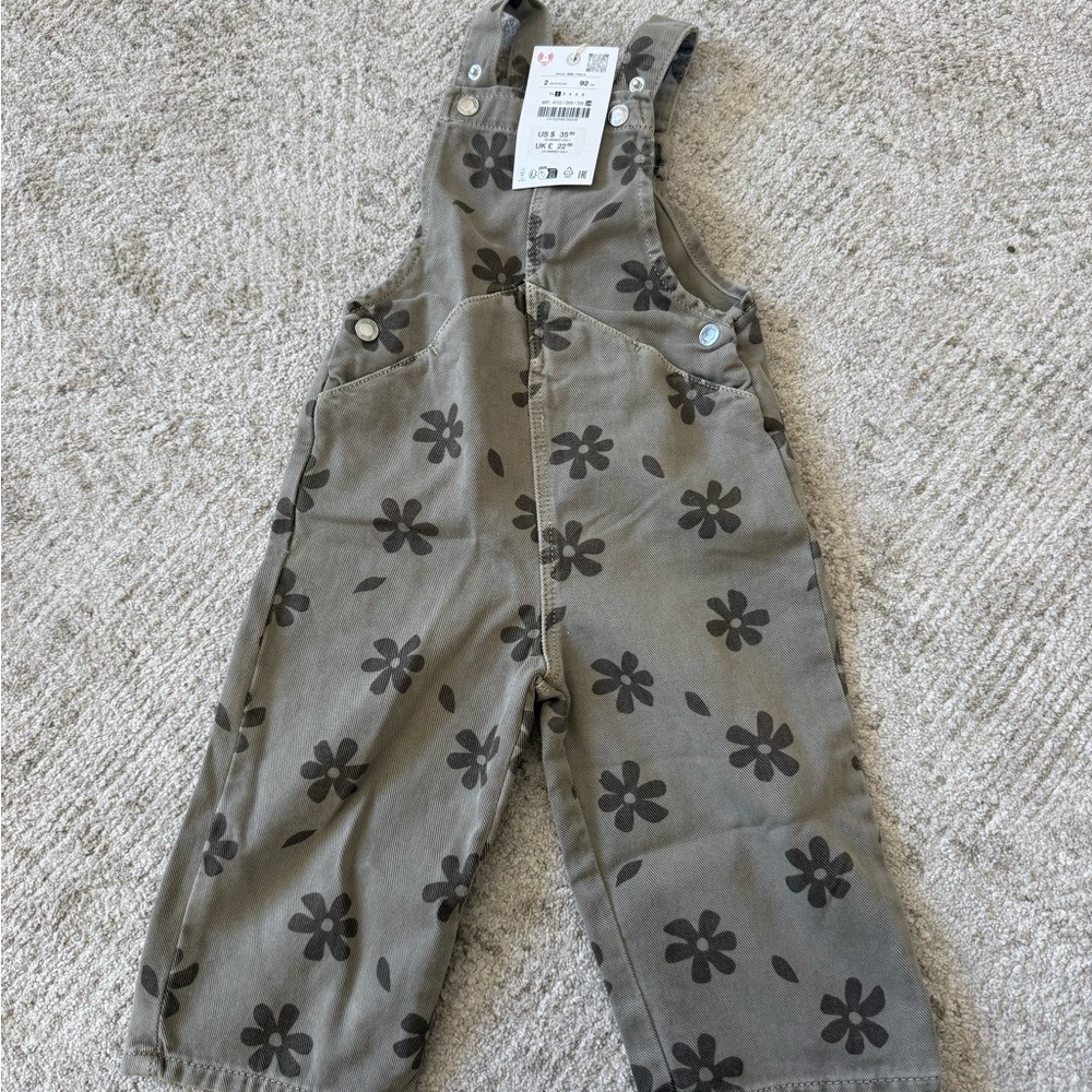Zara toddler Overalls